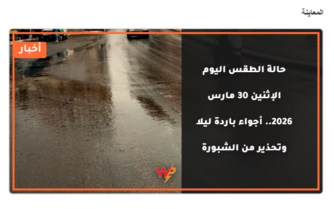 صورة 5